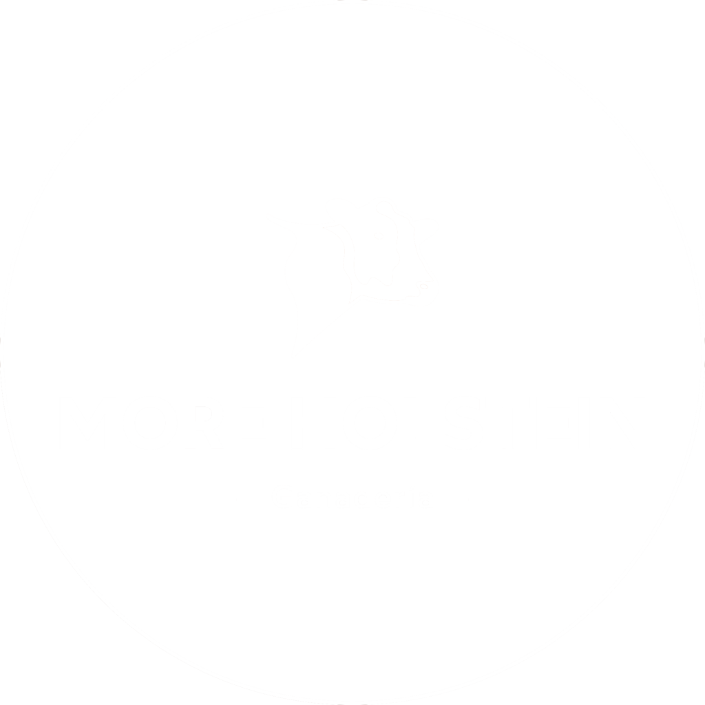 More Holstein